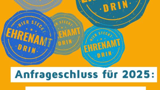 Hier steckt Ehrenamt drin: Das Dresdner Ehrenamtssiegel feiert 5-Jähriges!