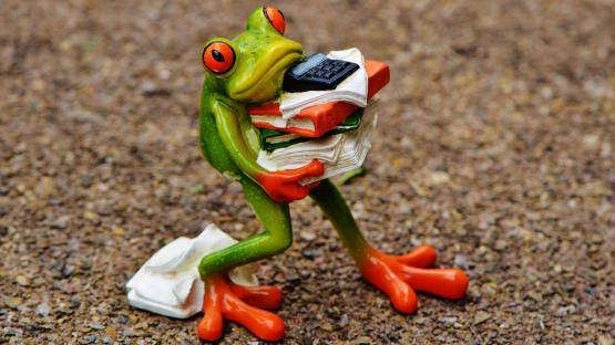 Weiterbildungen: "Achtsamkeit" und "Rechtskenntnisse" im Ehrenamt
