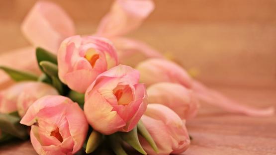 Jetzt Vorschläge für den Ehrenpreis 2023 des Landkreises Meißen einreichen
