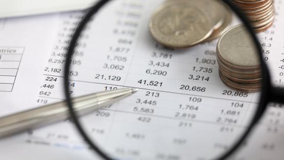 Projektförderung durch das Kommunale Ehrenamtsbudget - Antragsfrist endet bereits am 31.07.2024!
