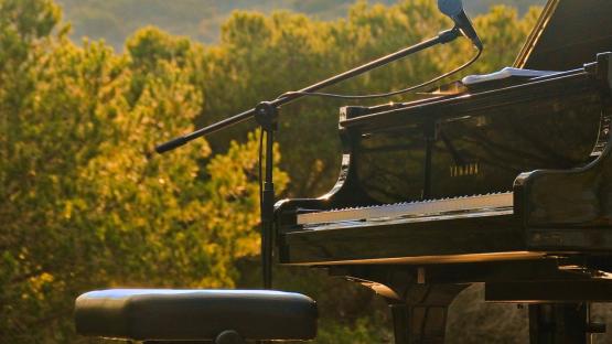 4 Tage Kultursommer in Riesa geplant.
