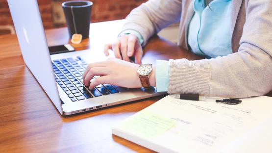 Kostenfreies Weiterbildungsprogramm der Ehrenamtsakademie Südwestsachsen für den Erzgebirgskreis 
